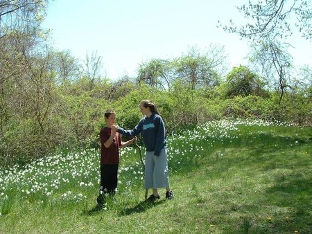 Image-0CAA2C43D83811DA