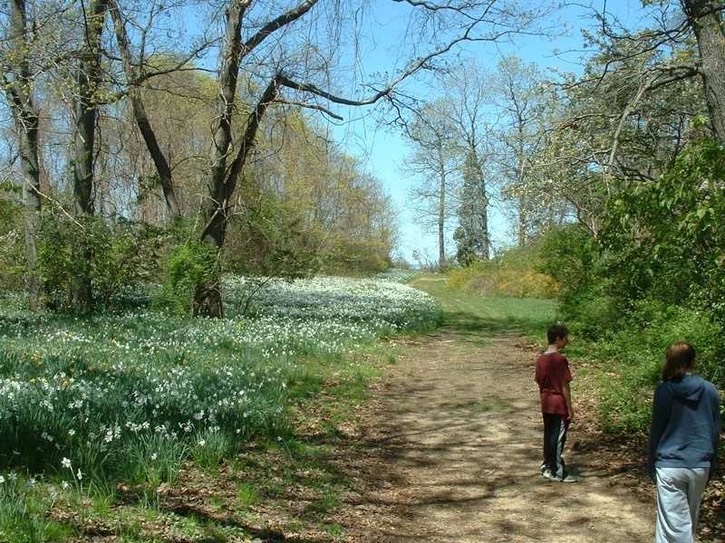 Image-0CAC9602D83811DA