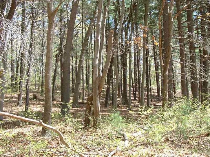 Image-0CB1E5FFD83811DA