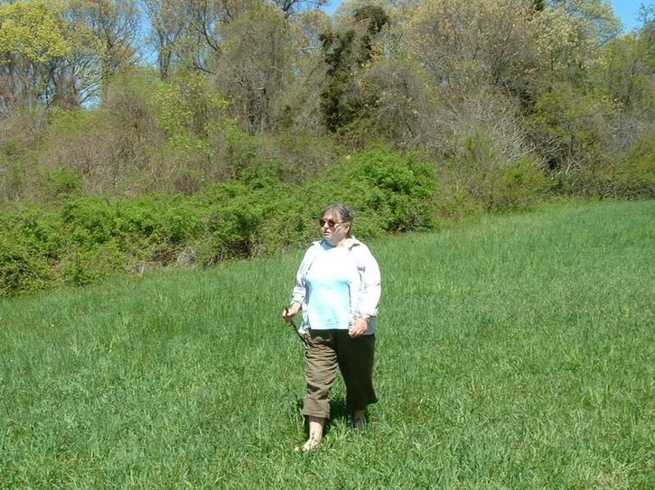 Image-0CB2FAC2D83811DA